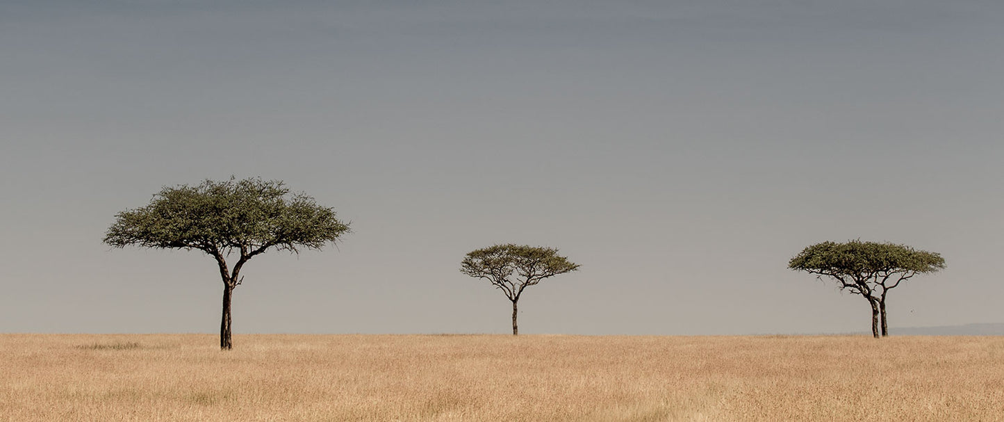 ThinkTank's Pop-up Photography Print Sale Part Three
