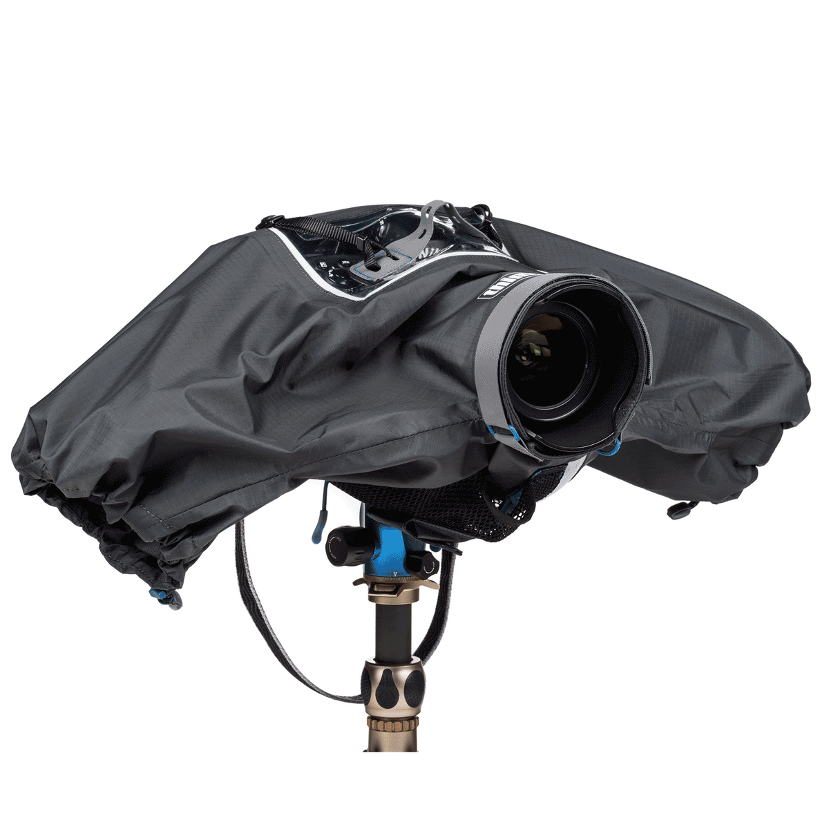 Hydrophobia-24-70-