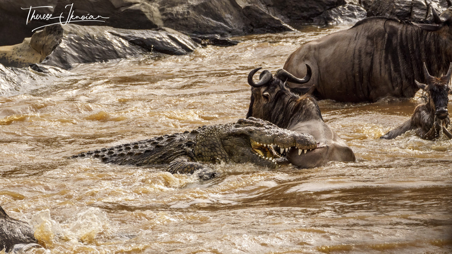 Gear Carry on African Safaris