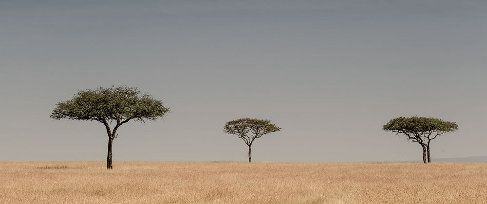 ThinkTank's Pop-up Photography Print Sale Part Three