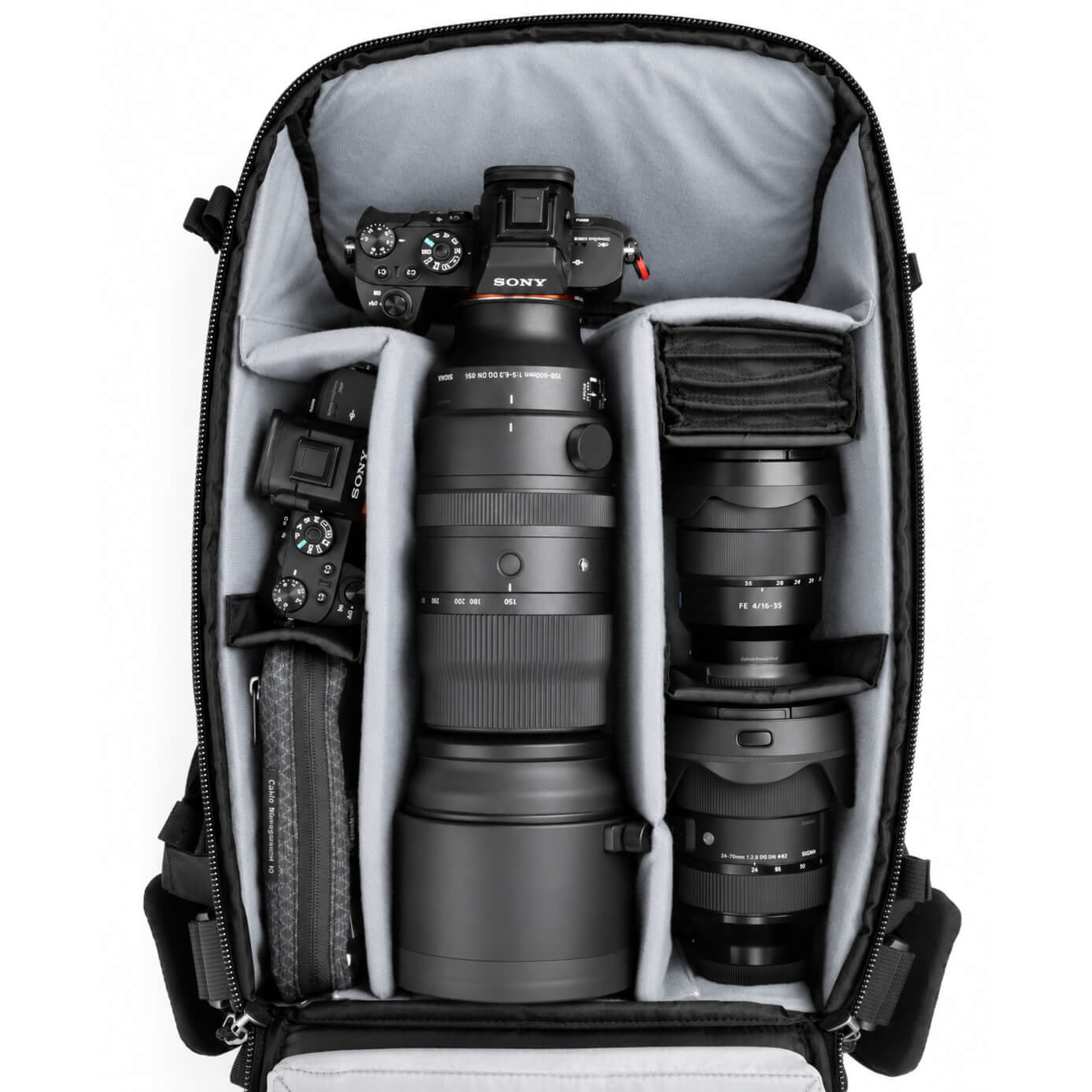 
                  
                    DarkLight 20L SPECIAL EDITION
                  
                